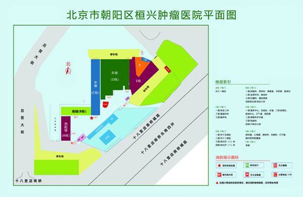 鸡巴插入骚逼视频免费北京市朝阳区桓兴肿瘤医院平面图